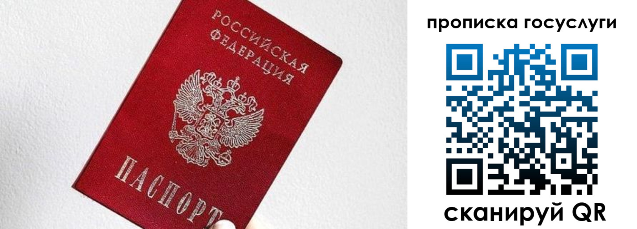 прописка законно в Полярных Зорях